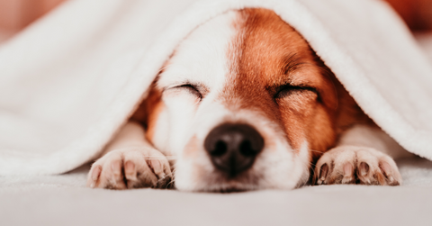 Feeling SAD about the Winter weather? Try these feel-good mood boosters!