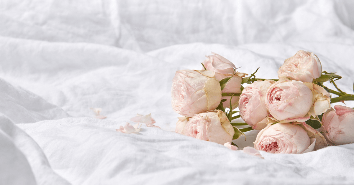 Introducing The Luxe Collection - Perfect For Valentine’s Day