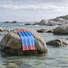 Kendall Sand Free Beach Towel